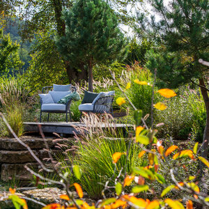 Sonniger Herbstgarten im Wald. – Garten bei Neuenstadt