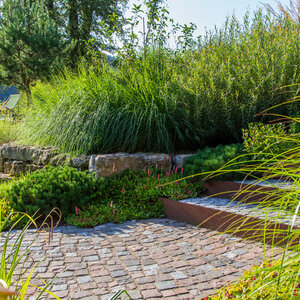 Sonniger Herbstgarten im Wald. – Garten bei Neuenstadt