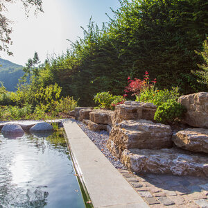 Sonniger Herbstgarten im Wald. – Garten bei Neuenstadt