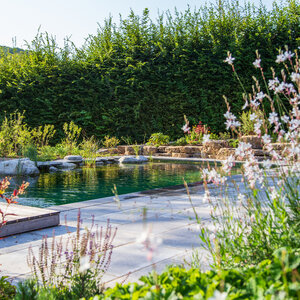 Sonniger Herbstgarten im Wald. – Garten bei Neuenstadt