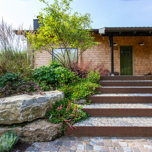 Sonniger Herbstgarten im Wald. – Garten bei Neuenstadt