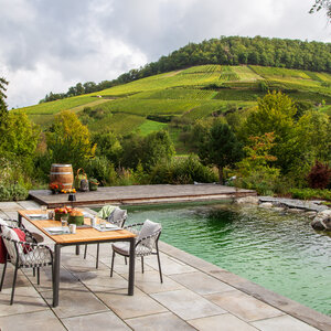 Sonniger Herbstgarten im Wald. – Garten bei Neuenstadt